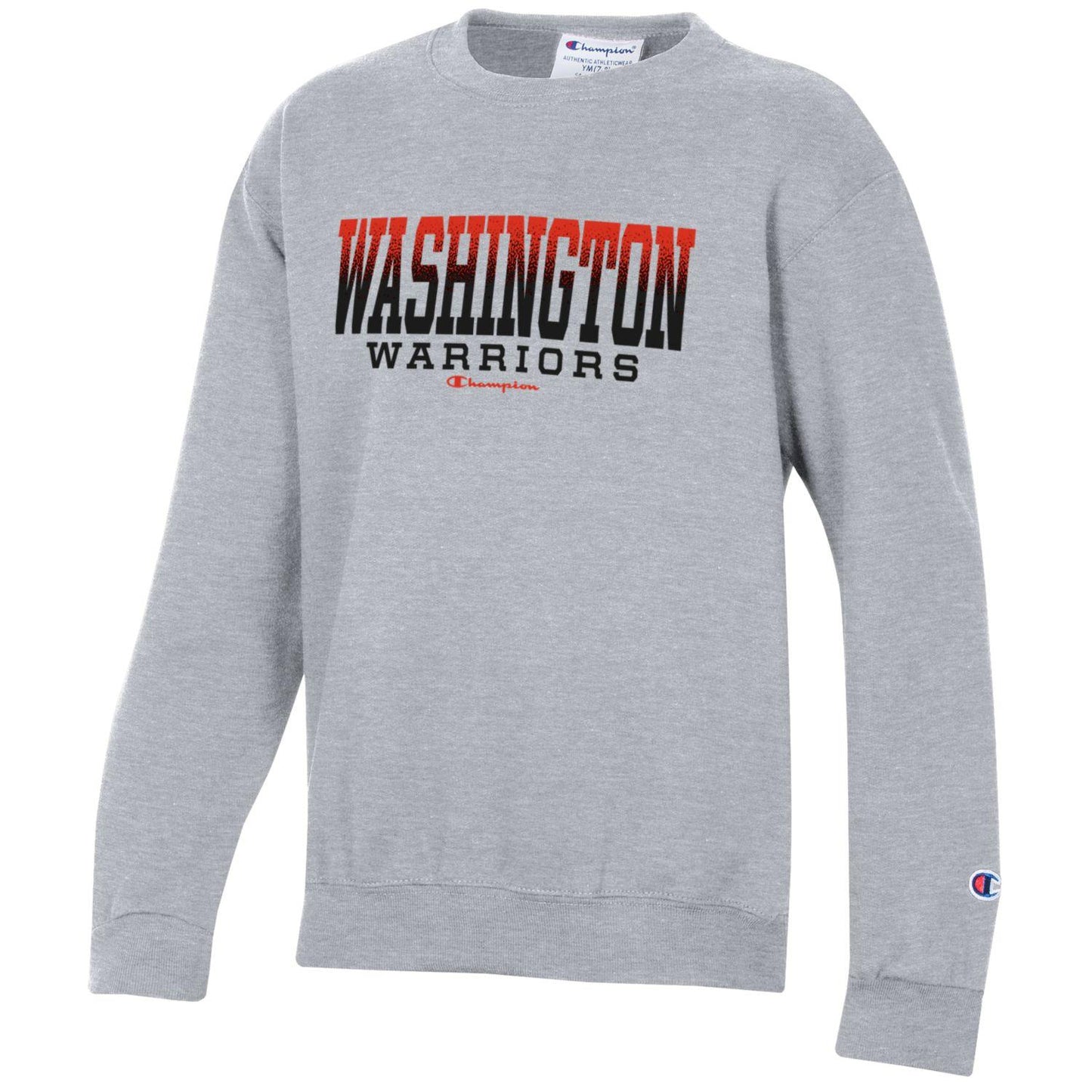 Champion Youth Crew Sweatshirt - Gray